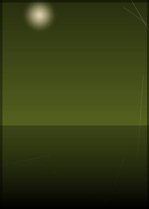 罗尔
