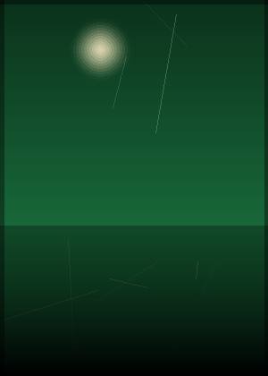 林君怡